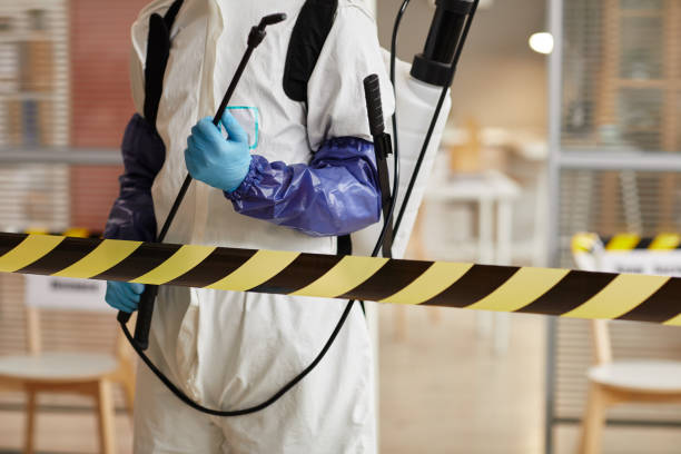 Professional Sewage Cleanup technician working in Spofford, NH